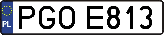 PGOE813