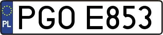 PGOE853