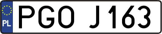 PGOJ163