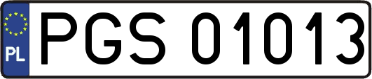 PGS01013