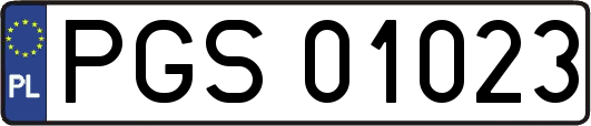 PGS01023