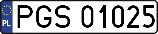 PGS01025