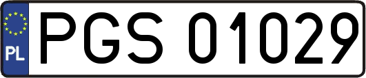 PGS01029