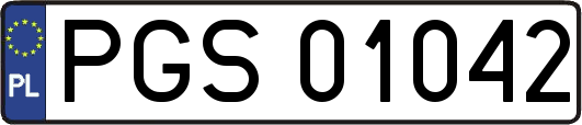 PGS01042