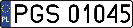 PGS01045
