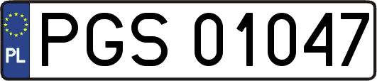 PGS01047