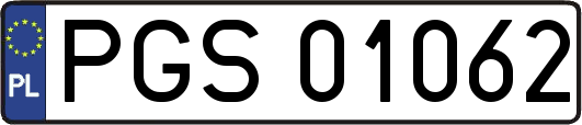 PGS01062