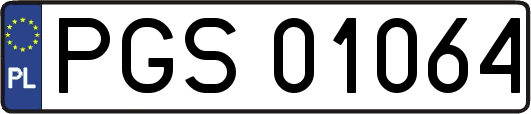 PGS01064
