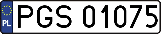 PGS01075