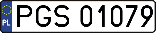PGS01079