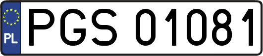 PGS01081