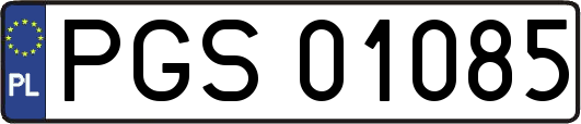 PGS01085