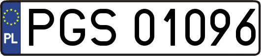 PGS01096