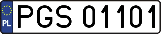 PGS01101