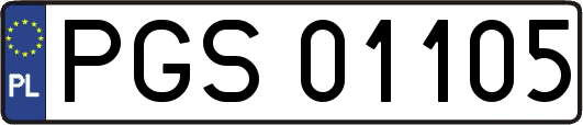 PGS01105