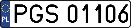 PGS01106