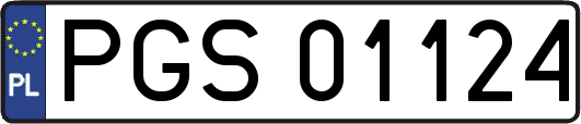 PGS01124