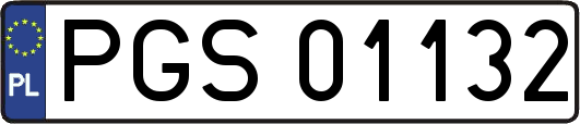 PGS01132