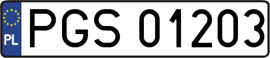 PGS01203