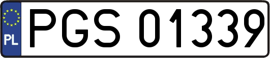 PGS01339