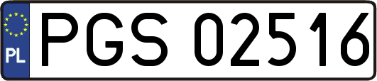 PGS02516
