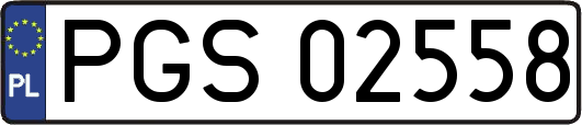 PGS02558