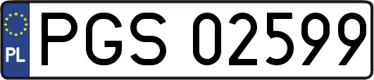 PGS02599