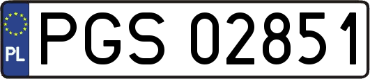 PGS02851