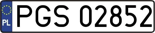 PGS02852