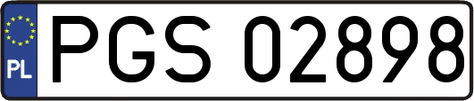PGS02898