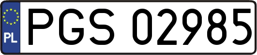 PGS02985