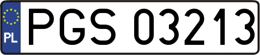 PGS03213