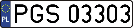 PGS03303