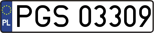 PGS03309