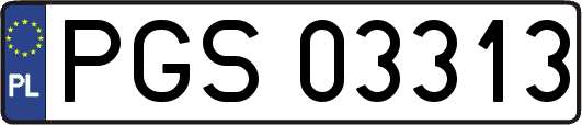 PGS03313