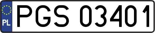 PGS03401