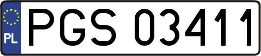 PGS03411