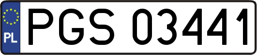 PGS03441
