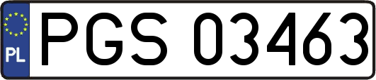 PGS03463
