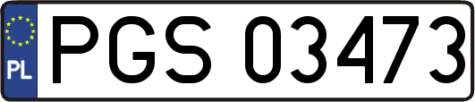 PGS03473