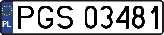 PGS03481