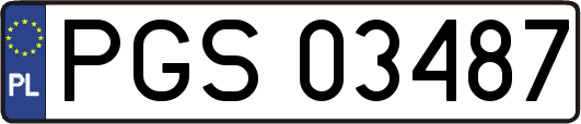 PGS03487