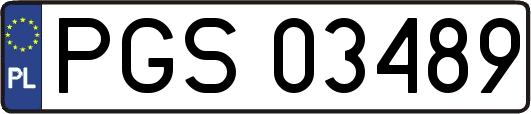 PGS03489