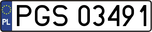 PGS03491