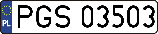 PGS03503