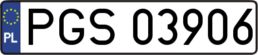 PGS03906