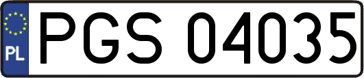 PGS04035