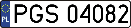 PGS04082