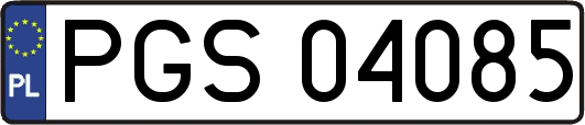 PGS04085