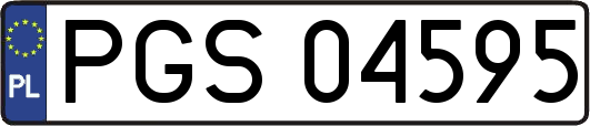 PGS04595